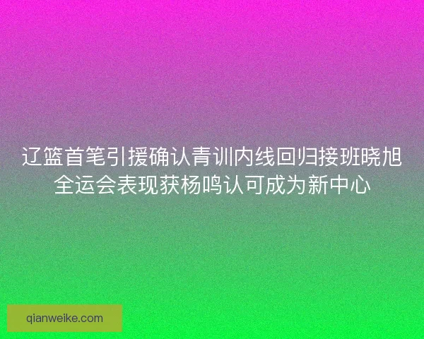 辽篮首笔引援确认青训内线回归接班晓旭全运会表现获杨鸣认可成为新中心