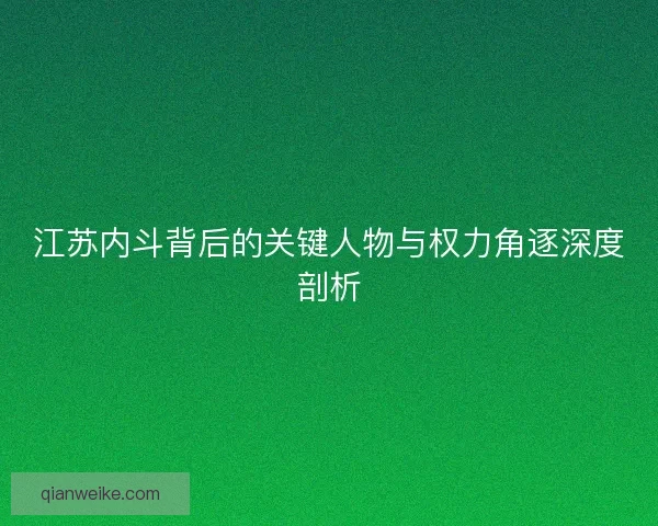 江苏内斗背后的关键人物与权力角逐深度剖析