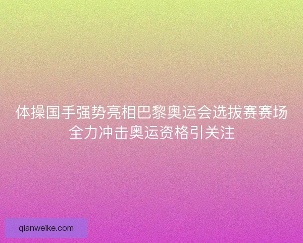 体操国手强势亮相巴黎奥运会选拔赛赛场全力冲击奥运资格引关注